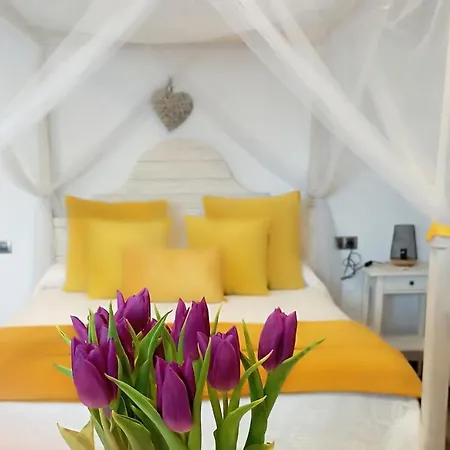 Ideada Parejas Con Jacuzzi, Desayuno Romantico Y Opcion De Cenas En Su Restaurante 情趣酒店 *