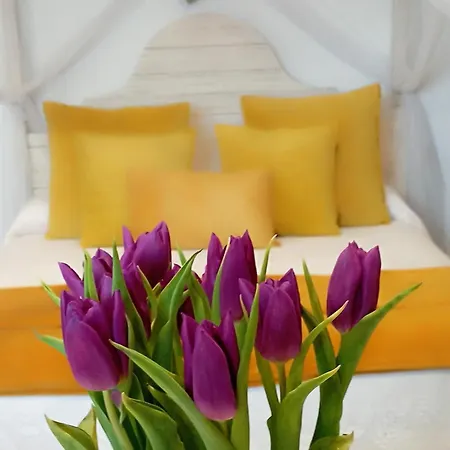 Ideada Parejas Con Jacuzzi, Desayuno Romantico Y Opcion De Cenas En Su Restaurante *