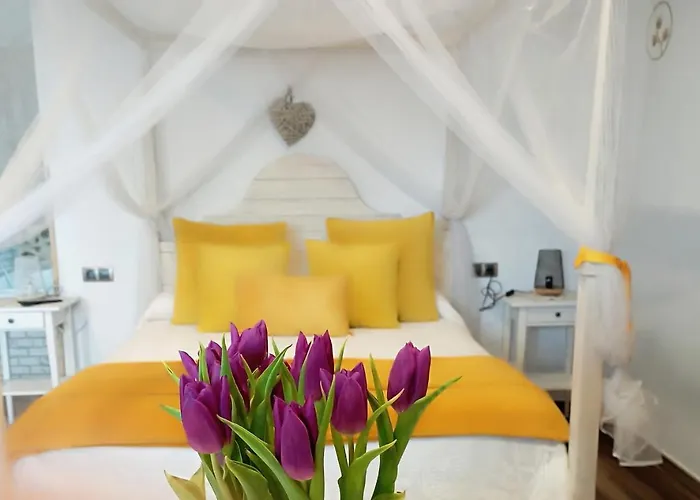 Habitación Ideada Parejas Con Jacuzzi, Desayuno Romántico Y Opción De Cenas En Su Restaurante Love hotel *