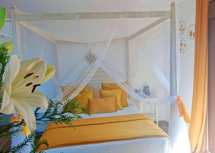 Love hotel Habitación Ideada Parejas Con Jacuzzi, Desayuno Romántico Y Opción De Cenas En Su Restaurante *