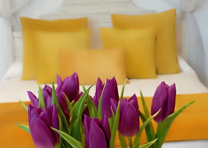 Habitación Ideada Parejas Con Jacuzzi, Desayuno Romántico Y Opción De Cenas En Su Restaurante *